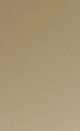 سمو الشيخ أحمد نواف الأحمد رئيس مجلس الوزراء