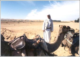 قلب بدوي