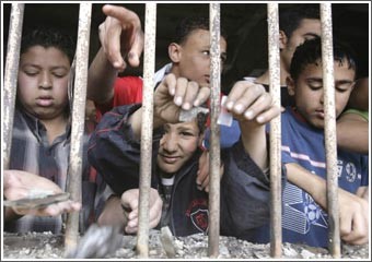 مصر: الإخوان يقاطعون انتخابات «المحليات» اليوم 