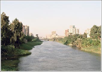 «الميدل إيست» أقلعت بثلاث رحلات يومية و «مصر للطيران» سيّرت 6 رحلات إضافية للقاهرة بخصم 16% على 180 ديناراً دون ضرائب 