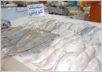 عدوى البورصة أصابت سوق السمك: الأسعار بين الصعود والهبوط