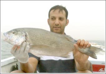 السهو: حداق النويبي ما يحلى إلا في شهر مارس مع البرد الخفيف