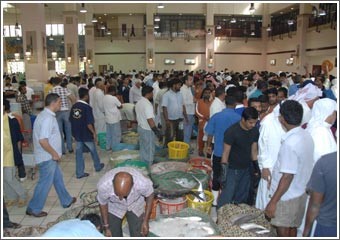 الزبيدي عاد إلى سوق السمك بكميات قليلة رفعت أسعاره إلى 6.5 دنانير للكيلو