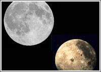 العجيري: المريخ لن يصبح بحجم القمر في رمضان