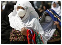 عالم مصري: كوب ينسون يومياً يقي من «إنفلونزا الخنازير» وجامعة القاهرة تستأجر قناة فضائية لمواجهة انتشار المرض!