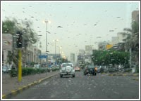 العجيري: «السوداني» سبب الأمطار والغبار والرطوبة