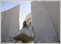 الجمعية العامة للأمم المتحدة تقر «غولدستون» وتطلب التحقيق في الاتهامات بجرائم حرب في «غزة»