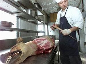 بعض الصينيين يقدمون وجبات لحوم الكلاب الساخنة لضيوفهم المميزين
﻿