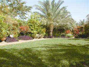 عدم السماح بزراعة الساحات عبر الشارع﻿