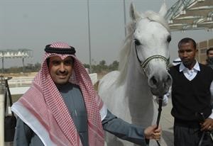 محمد جاسم المرزوق ممسكا بعنان الخيل ﻿