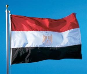 تغيير العلم مرفوض