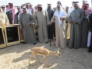 صاحب السمو الامير والشيخ جابر العبدالله والشيخ فيصل السعود خلال اطلاق احد الغزلان داخل المحمية﻿