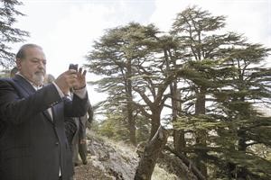 اثرى اثرياء العالم في غابة ارز بـ شري