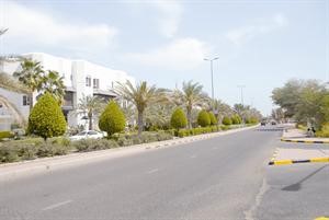 احد شوارع الضاحية الرئيسية﻿