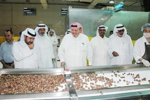 عملية فرز الرطب﻿﻿كرم دياب﻿