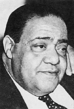 الشاعر كامل الشناوي