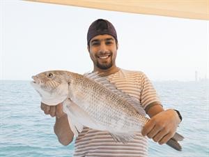 السبيطي مطلب الجميع﻿