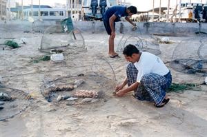 الحداق هواية قديمة حديثة