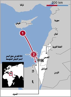 إسرائيل تمارس «إرهاب الدولة» ضد «أسطول الحرية»