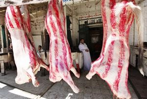 100 مليون جنيه للقضاء على مافيا اللحوم