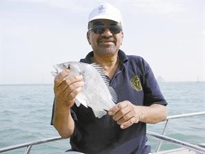 وهذا احلى شعم