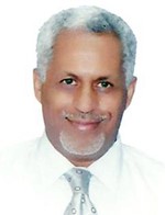 دحسن شرف الدين