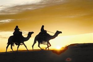المركز العلمي يطلق أحدث أفلامه «شبه الجزيرة العربية» اليوم