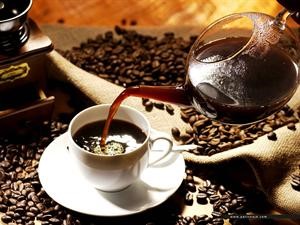 لبنان والجزائر وقطر والسعودية الأكثر استهلاكاً للقهوة عربياً