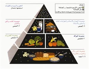 الهرم الغذائي