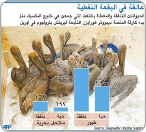 «بي پي» تعلن وقف التسرب النفطي 