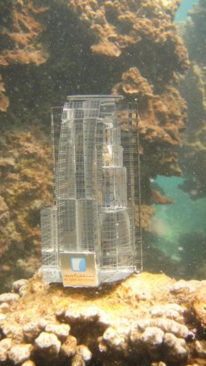 مجسم مستشفى السيف بعد تثبيته بين المرجان تحت الماء في جزيرة قاروه
﻿