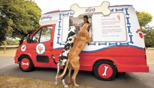 كلبان يتنافسان للحصول على نصيبهما من اول عربة متخصصة في الايس كريم الكلابي