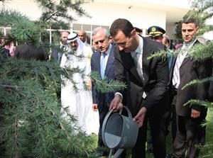 الرئيس السوري دبشار الاسد يروي شجرة ارز في حديقة قصر بعبدا بحضور خادم الحرمين والرئيس سليمان﻿