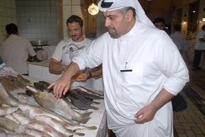 تفتيش على السمك﻿