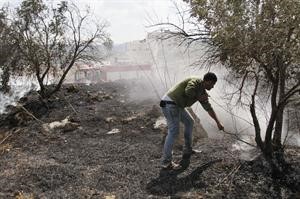 فلسطيني يحاول اخماد النيران التي اشعلها مستوطنون في حقله بقرية حوارة في الضفة امس	افپ﻿
