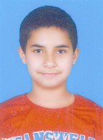 محمود انور