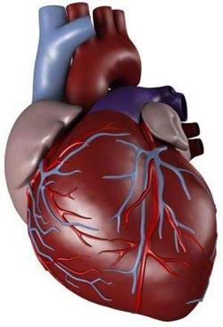 أول عملية لعلاج عدم انتظام دقات القلب باستخدام النيتروجين