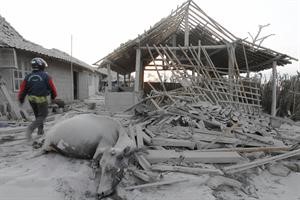 حيوان نافق من اثر الزلزال ﻿