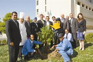 فريق شيراتون وفوربوينتس شيراتون الكويت يشارك في زراعة الاشجار
﻿