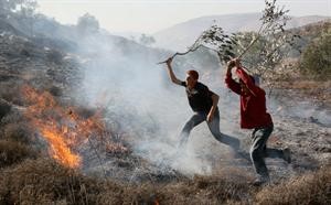 فلسطينيان يطفئان النيران التي اشعلها مستوطنون اسرائيليون في مزرعة للزيتون امس	رويترز﻿