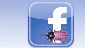 «حشرة» تعطل حسابات مستخدمين في «فيس بوك»!