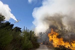 الحريق الكارثة في اسرائيل﻿