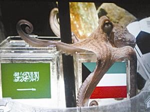 الأخطبوط «بول» اختار الازرق