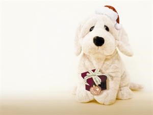 هدايا سانتا كلوز للحيوانات الأليفة أيضا.. وبالمليارات