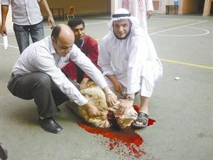 ذبح الهدي﻿