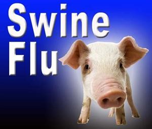 إنفلونزا الخنازير تطل من جديد وتقتل 10 في بريطانيا