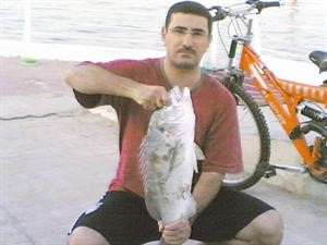 درابيل الخبز الايراني لها مردود سبيطي