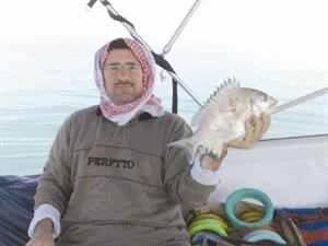 شعم المحادق الشمالية