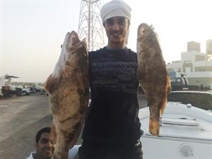 شوف الهامور والبالول يا سلام
