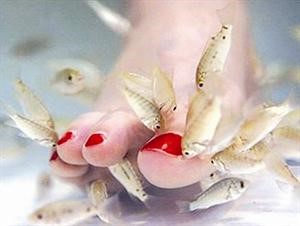 «أسماك تركية» بمهارات طبية تتولى تزيين أقدام وأيدي النساء في لبنان